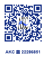 Non aute lorem verit