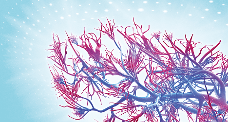 ANCA‑Associated Vasculitis with Systemic Thrombotic Microangiopathy: A Literature Review